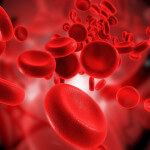 blood cells