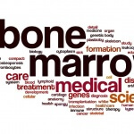 שלט שעליו כתובות המילים מח עצם